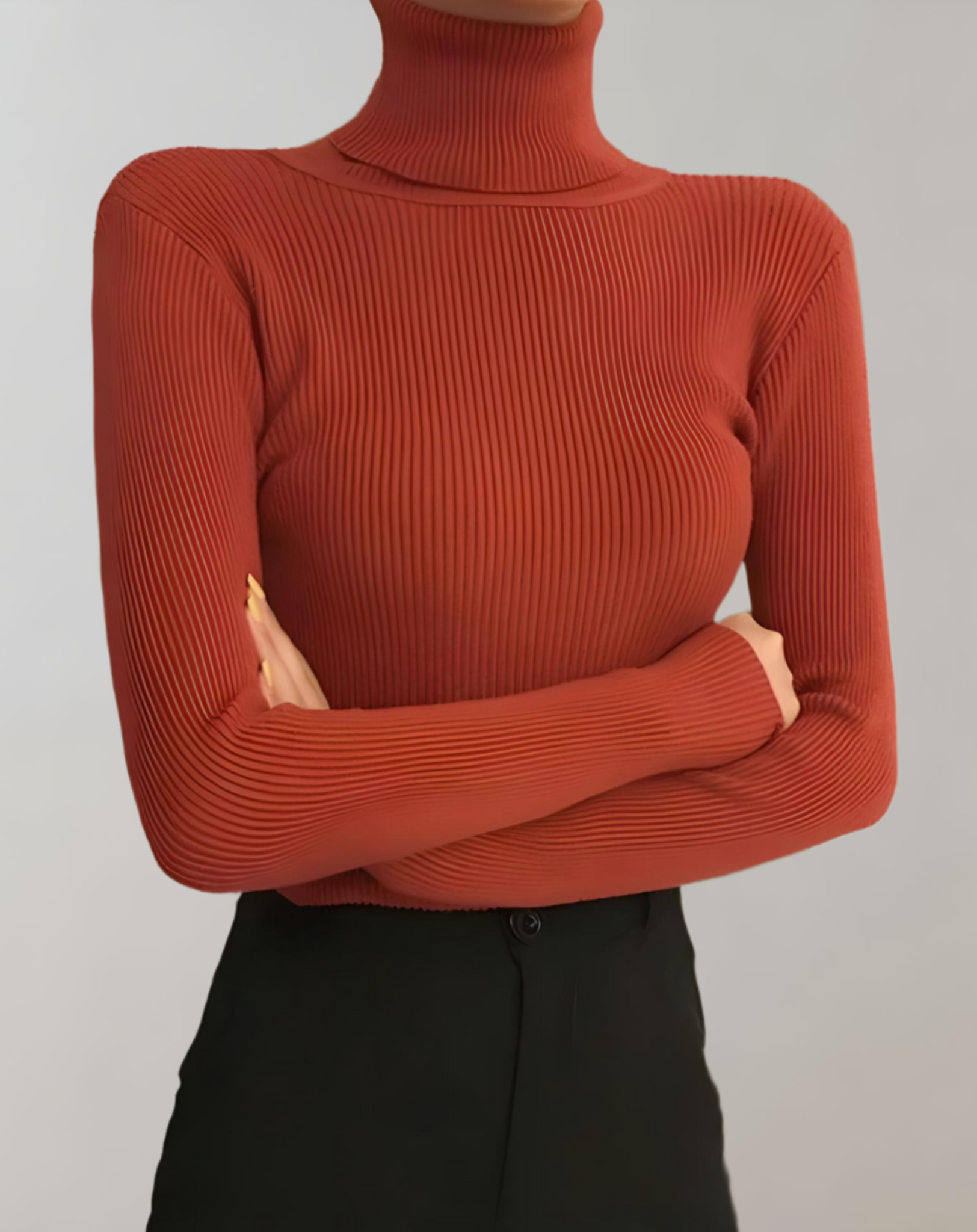 Aber - fit jumper with a turtleneck