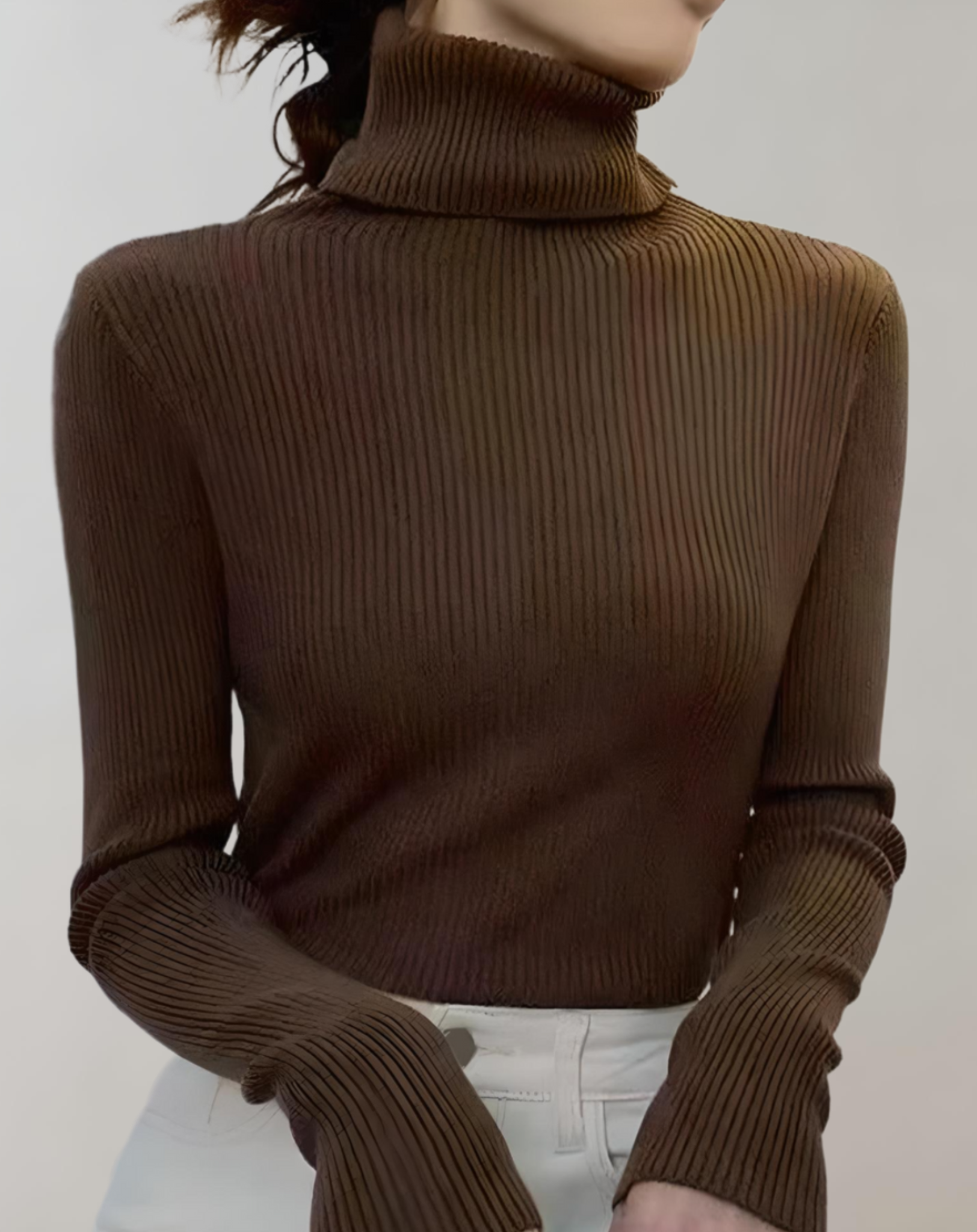 Aber - fit jumper with a turtleneck