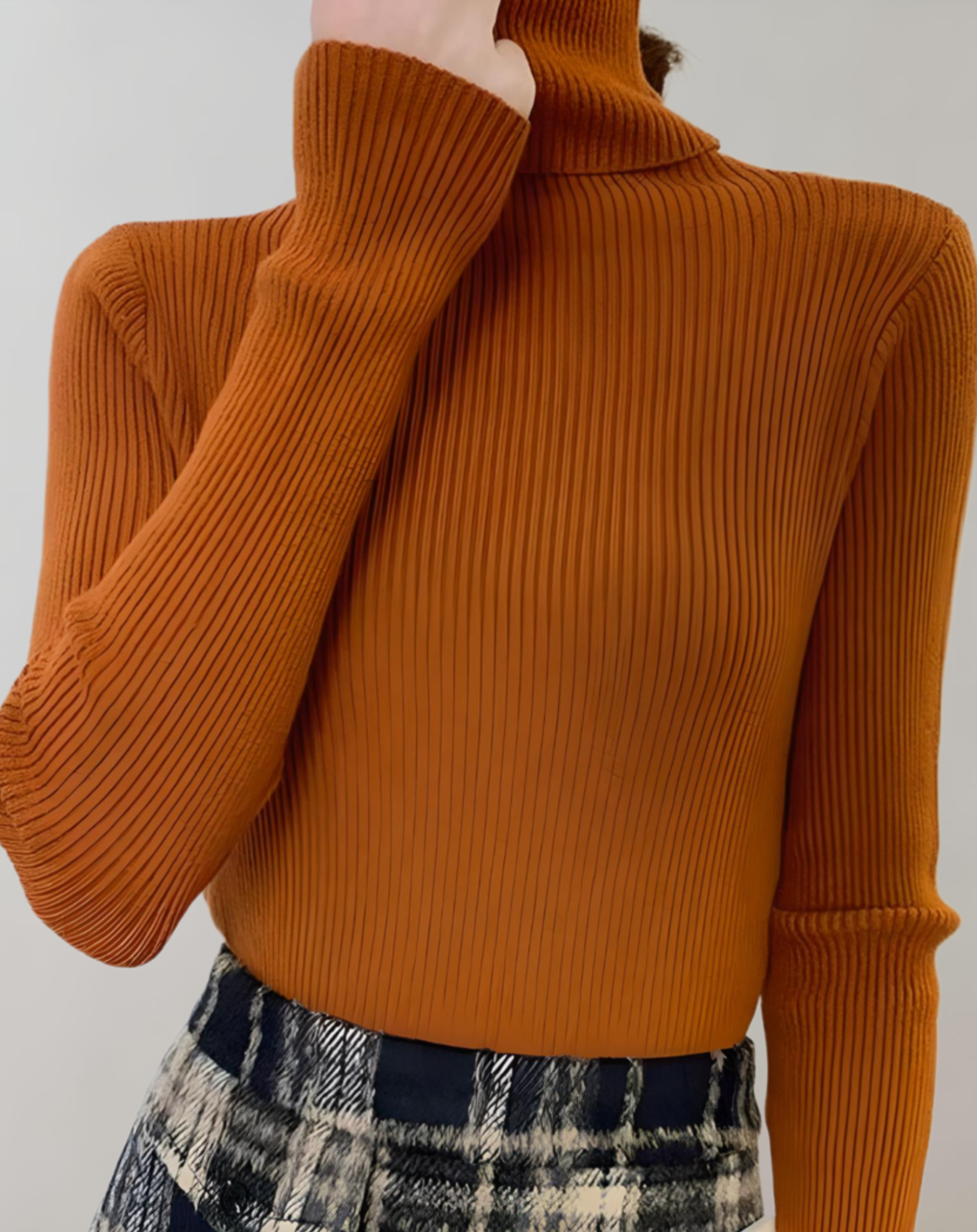 Aber - fit jumper with a turtleneck