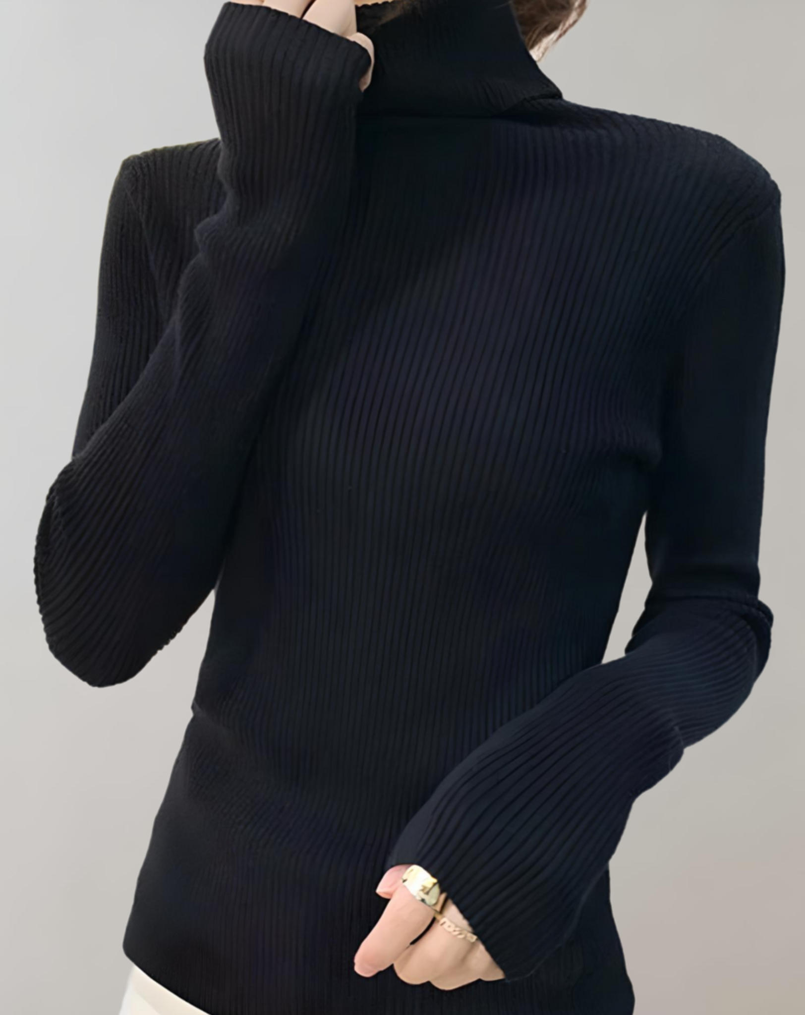 Aber - fit jumper with a turtleneck